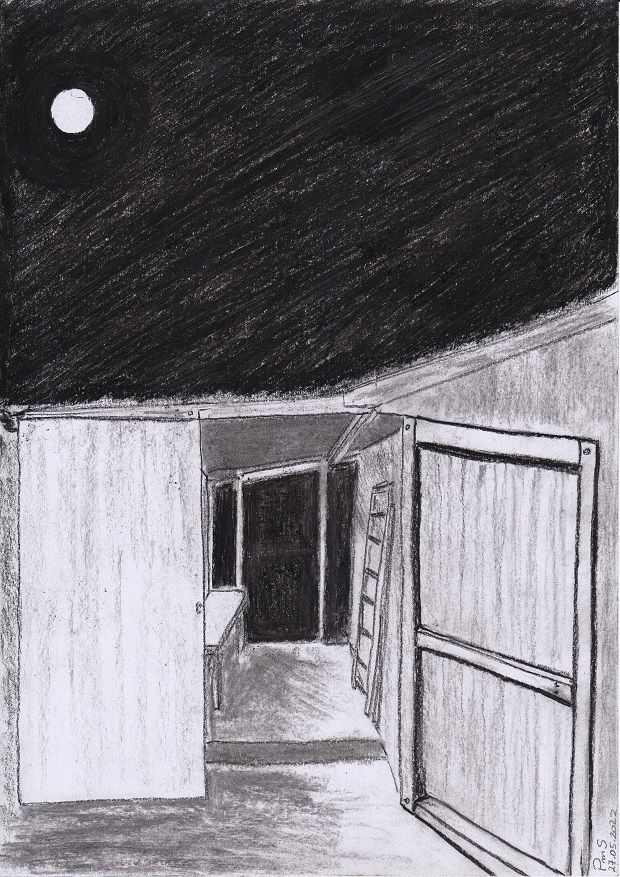  the shed story illustration